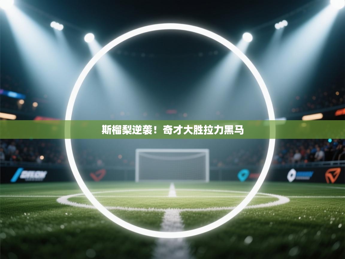 斯榴梨逆袭！奇才大胜拉力黑马  第2张